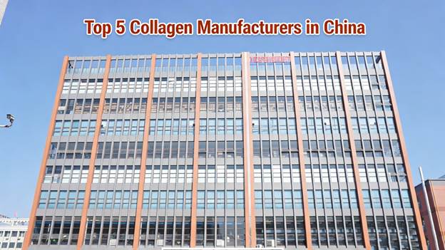 Top 5 Collagen Manufacturers in China Image